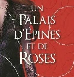 Un palais d'épines et de roses, tome 1 de Sarah J. Maas