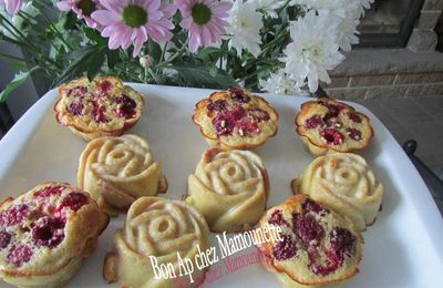 Clafoutis aux framboises du jardin et au son d'avoine