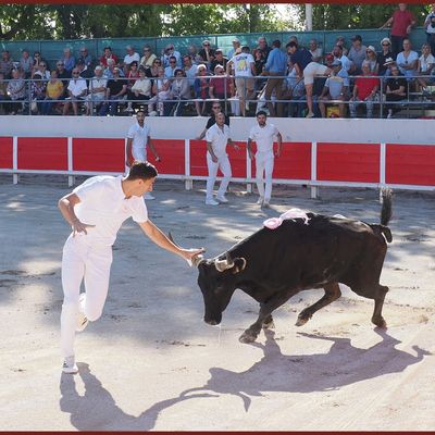 NOVES