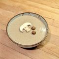 Velouté anglais aux champignons et persil 