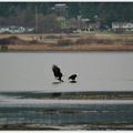 Whidbey Island - Fort Casey