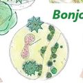 Au rond-point