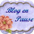 Blog en pause 