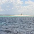 Grenadines - J7 - Tobago Cays en speed boat