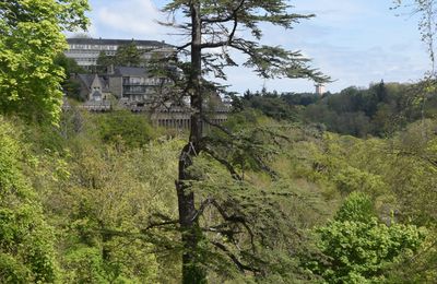 Saint-Brieuc, cité de viaducs, vue de dessous le 23 avril 2024