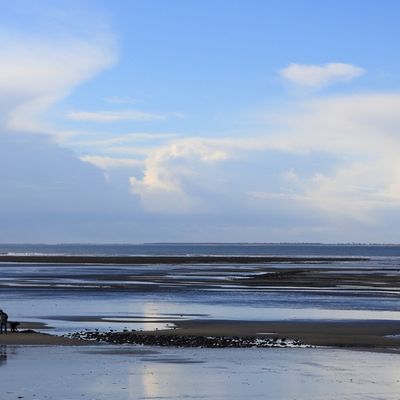 Goémonière en Bretagne