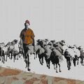 Pays Basque La Bastide Clarence  (fresque) rassemblement du troupeau pour la montée des estives