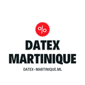 Les logos provisoires pour Datex Martinique