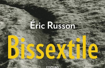 Eric Buisson, Bissextile, Robert Laffont, 354 pages