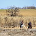 Galop d'essai