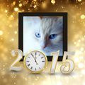 BONNE ANNEE 2015