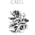 Icares