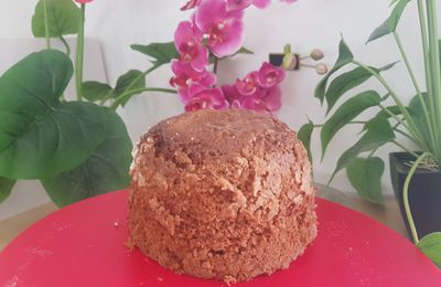 Gâteau moelleux au chocolat au micro-ondes dans le Micro Cook