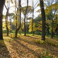 Le faste de l'automne au parc Villa Borghese