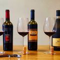 Vins rouges Italiens Appassimento