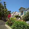 Quartier de Telegraph Hill