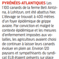 Grippe aviaire