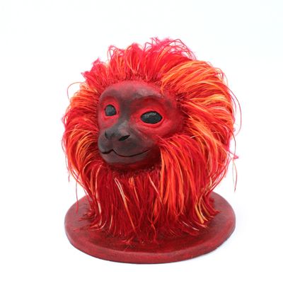 Mon tamarin lion dont je suis fière ! 13h de