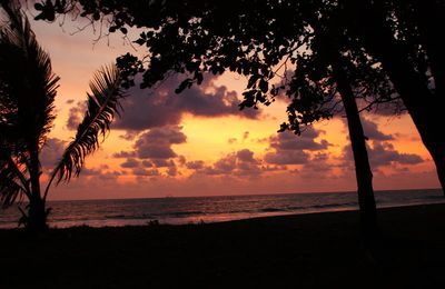 Pura Vida au costa rica