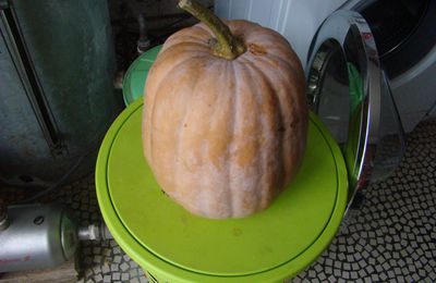 Ma citrouille pour Halloween