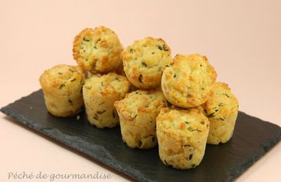 Miamiaou ( mini-muffins au saumon )