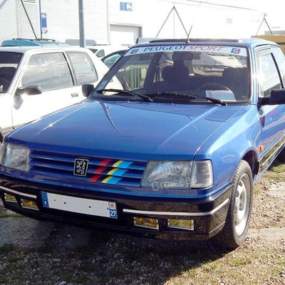 Peugeot 309 GTI16 (1989-1993)