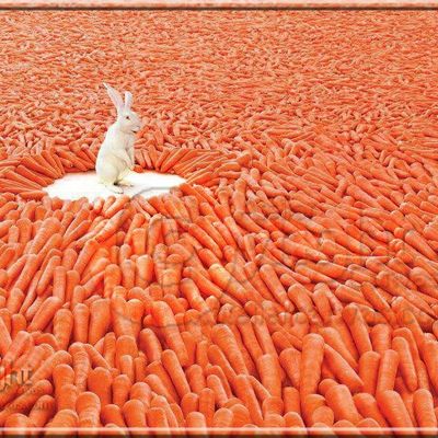 Pour les V-G tariens