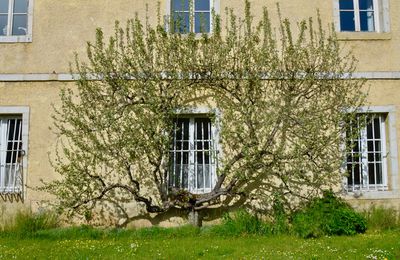 Retour à la Grâce Dieu