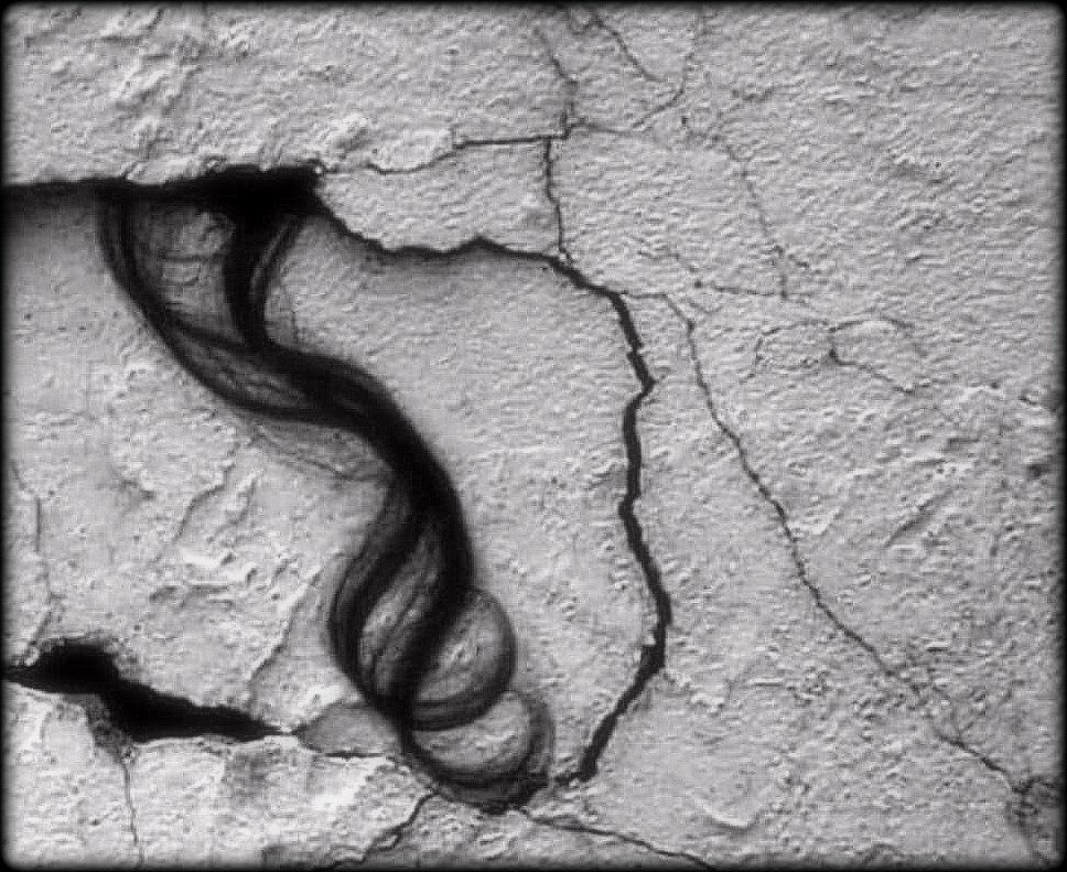 JOËL GRENIER , GAZA, GENOCIDE, CRIMES, BENJAJAMIN NETANYAHUR  BOUCHER DE GAZA, SIELCES, COMPLICITE, MONDE, DESTRUCTION