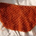 En cours : Curved Shawl