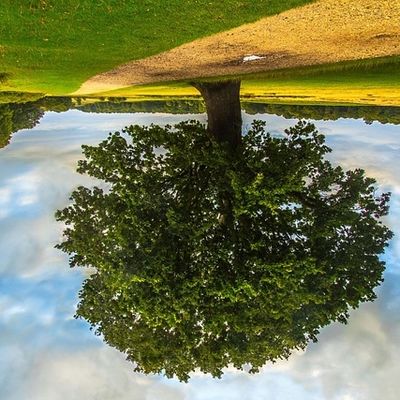 Faire les pieds au mur : l'homme habite dans la parole