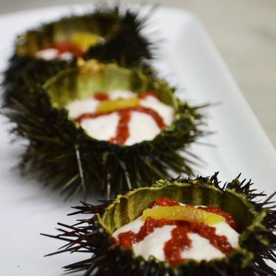 Où et quand manger des oursins ? Je vous donne mes conseils de chef