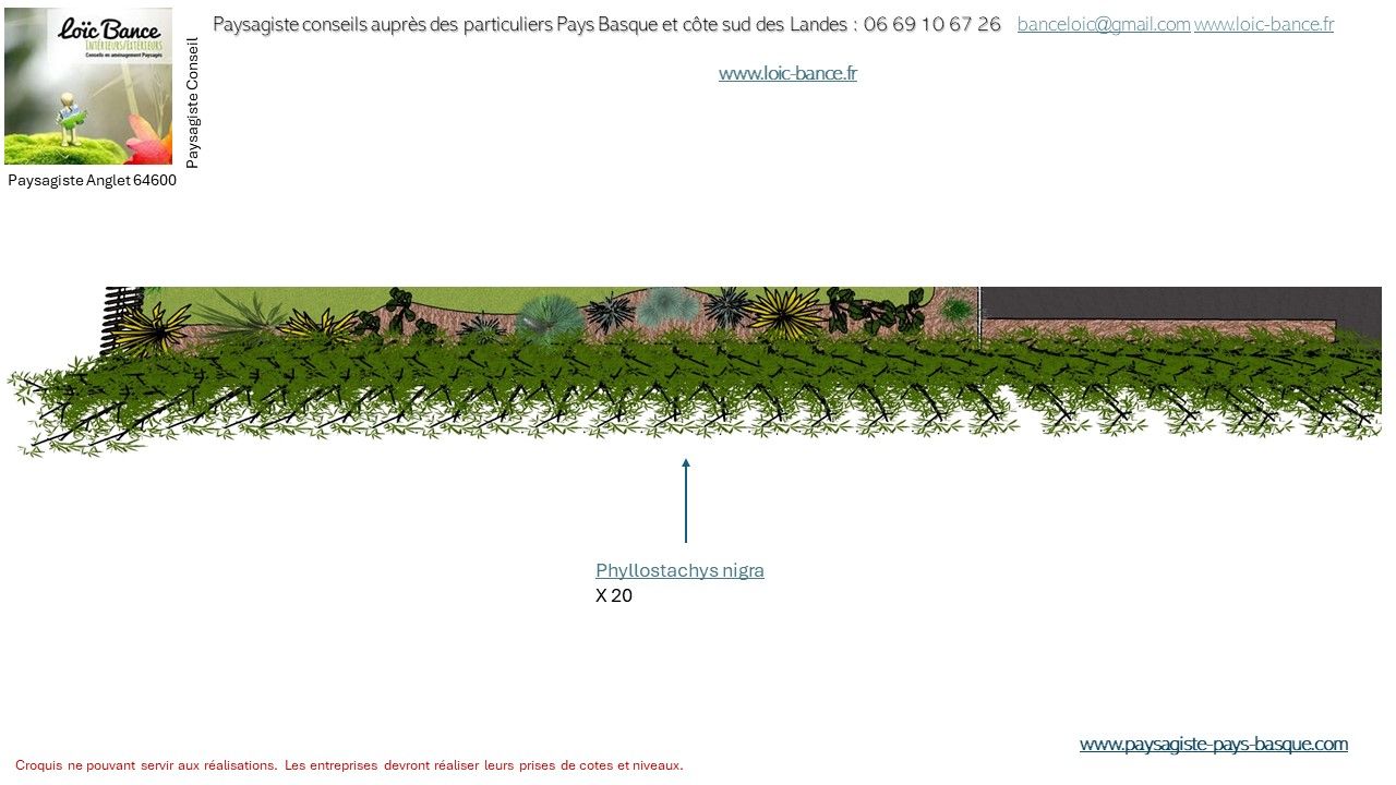 Paysagiste Anglet, Paysagiste conseils aux particuliers, légende et fiche technique des végétaux.