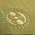 Crop circle Wiltshire