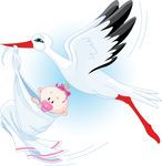 Nurserie Swissreborns