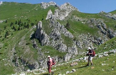 Pointe Feuillette 1891 m des Amayères –Lus-la-Croix-Haute