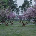 Festival de Cannes 2025- Quinzaine des Cinéastes  : Militantropos : la guerre en Ukraine sous une multitude de points de vue