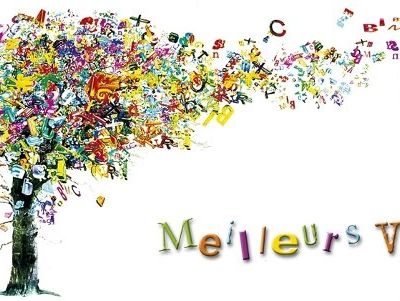 Belle et heureuse année 2017 !!