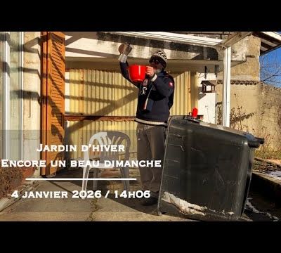 Les mois d'hiver - Un dimanche avec quelques restes de neige dans le jardin d'hiver...