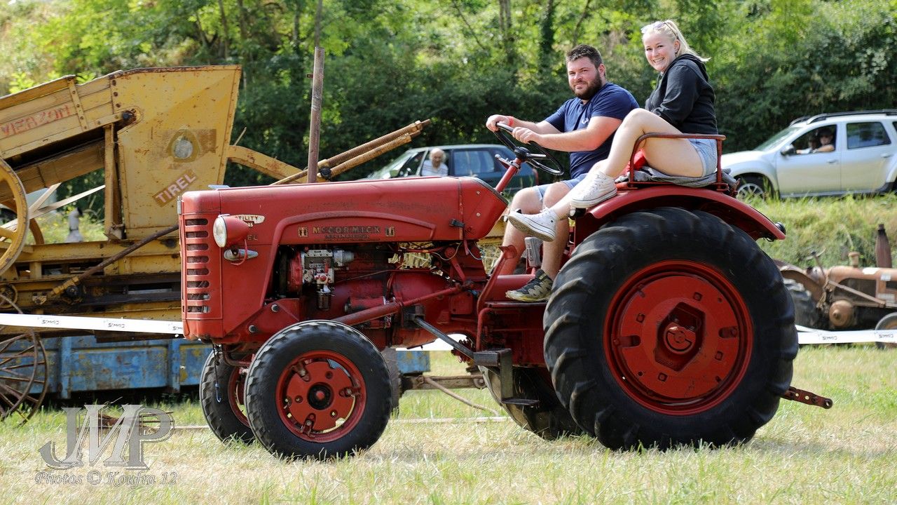 017 - Tracteur Mac Cormick : FV-265 D - CV - cm² - années 