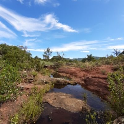 LA PLAINE DES MAURES, le Lac des Escarcets 
