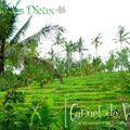 [Carnet de Voyage] Bali, l'île des Dieux : Ubud => Ume Abian