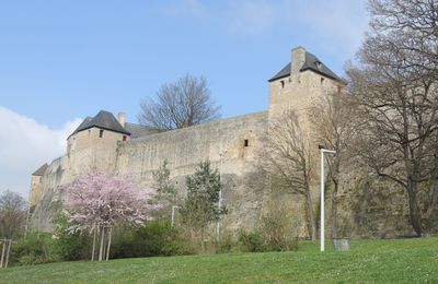 Château de Caen 1