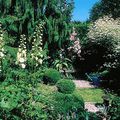 Jean François Trouvé, "Petits jardins et patios": Reproduire un jardin à la française