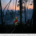 Incendies au Portugal