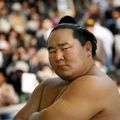 Scandale dans le monde du sumo