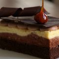 Entremets chocolat citron 