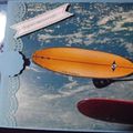 Carte coulisante SURF