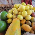 les jardins de Martinique  du jardinage aux antilles