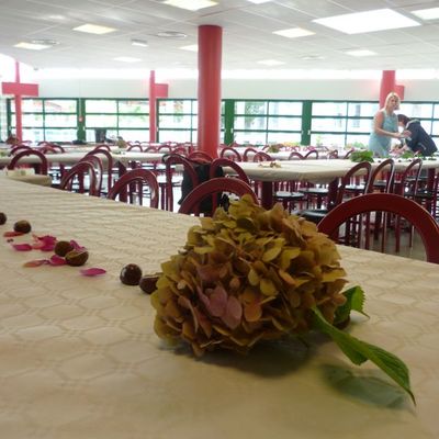 Pau fête d'au revoir à nos amis allemands